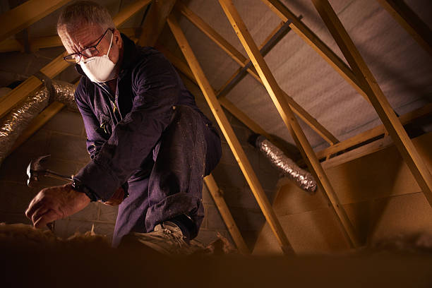 Types of Insulation We Offer in Appomattox, VA