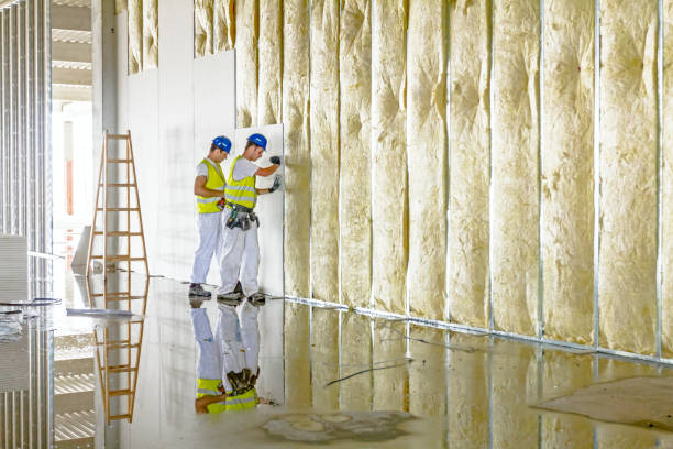 Best Commercial Insulation in Appomattox, VA